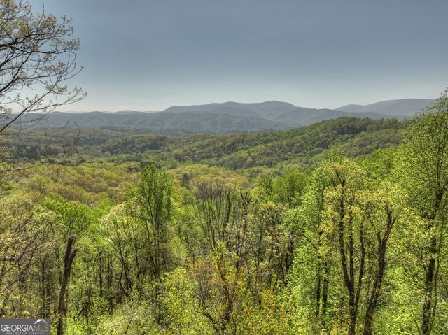 783 Moreland Drive N, Cherry Log, GA 30522