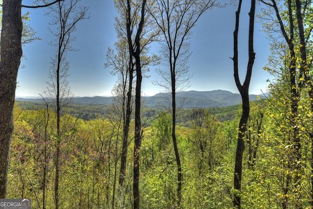 783 Moreland Drive N, Cherry Log, GA 30522