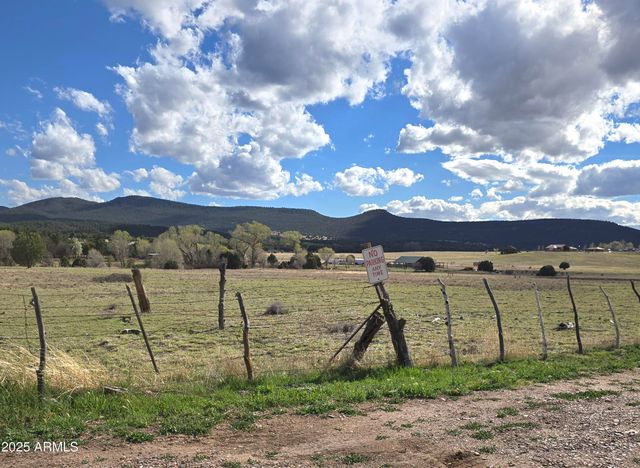 46600 N AZ Highway 288 -- -, Young, AZ 85554