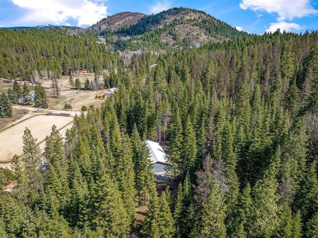 4821 Coyote Trl, Newport, WA 99156