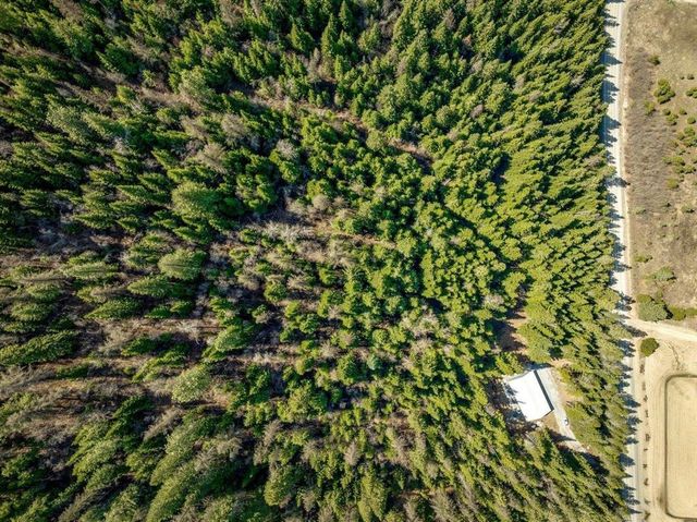 4821 Coyote Trl, Newport, WA 99156