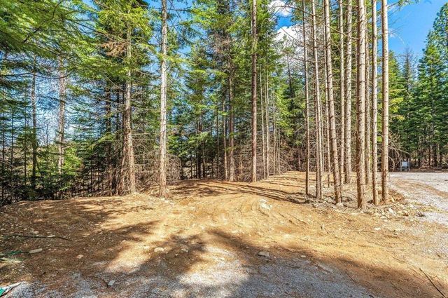 4821 Coyote Trl, Newport, WA 99156