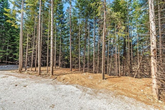 4821 Coyote Trl, Newport, WA 99156