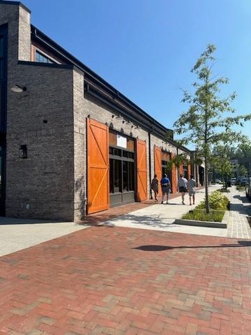 163 BASIL STREET Street, Cumming, GA 30040