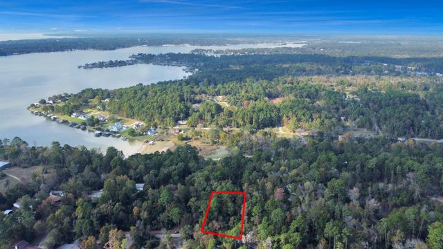 Lot 36 Loper Lake Drive, Livingston, TX 77351