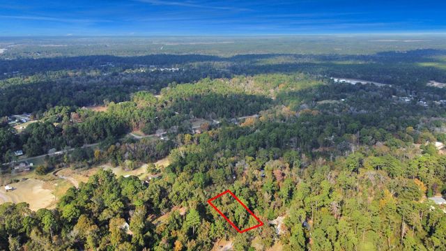 Lot 36 Loper Lake Drive, Livingston, TX 77351