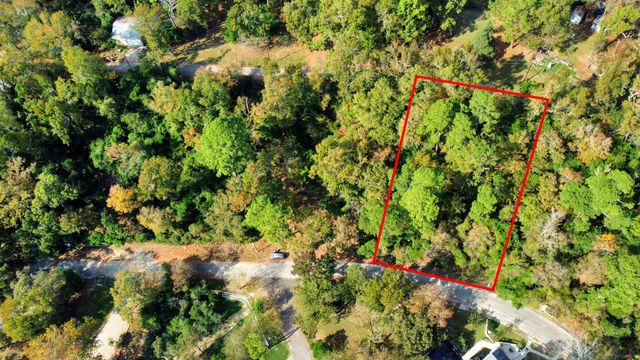 Lot 36 Loper Lake Drive, Livingston, TX 77351