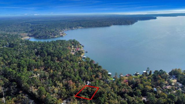 Lot 36 Loper Lake Drive, Livingston, TX 77351