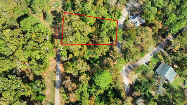 Lot 36 Loper Lake Drive, Livingston, TX 77351