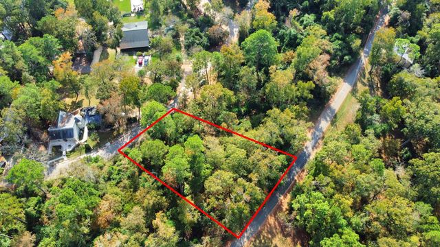 Lot 36 Loper Lake Drive, Livingston, TX 77351