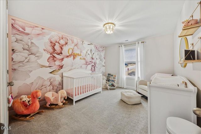 224 Stephens Timberline View, Clayton, NC 27520