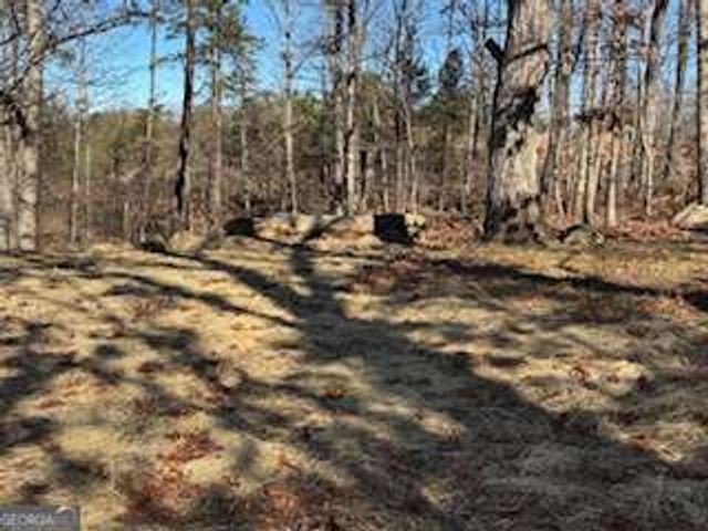 85 Waterloo Drive, Dahlonega, GA 30533