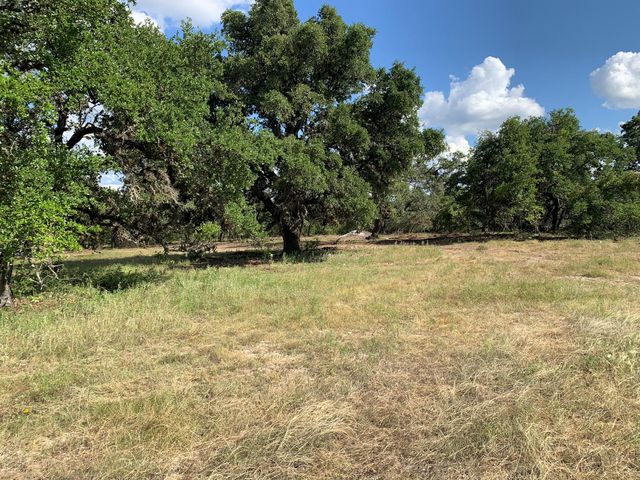 Lot 14 Legacy Hills DR, Johnson City, TX 78636