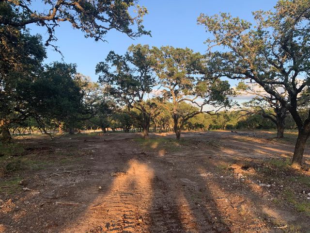 Lot 14 Legacy Hills DR, Johnson City, TX 78636