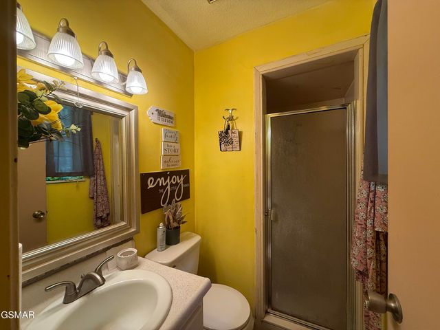 2360 Goldrush Road, Pigeon Forge, TN 37863