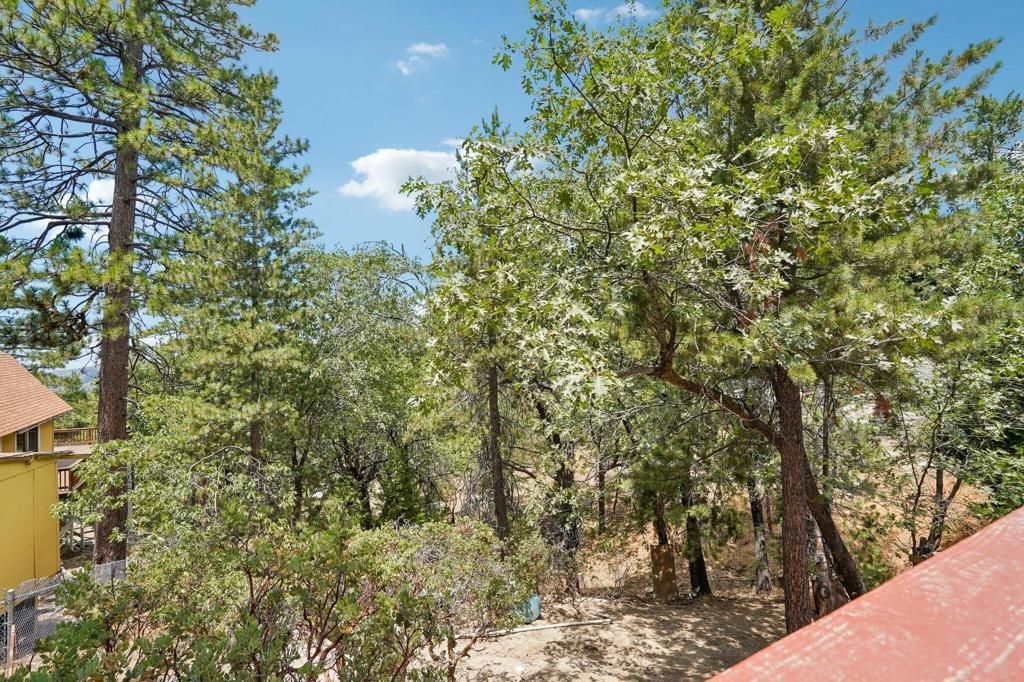 Image 24 of property listing at 24765 Schaffer Drive, Idyllwild, CA 92549
