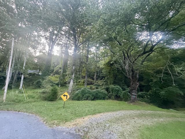 LT 53 Circle Drive, Morganton, GA 30560