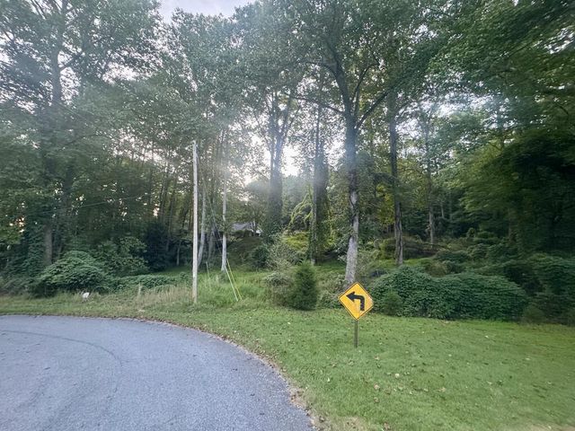 LT 53 Circle Drive, Morganton, GA 30560