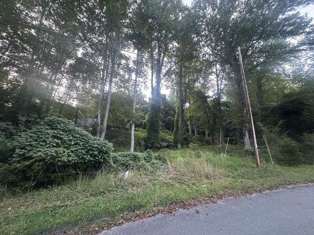 LT 53 Circle Drive, Morganton, GA 30560