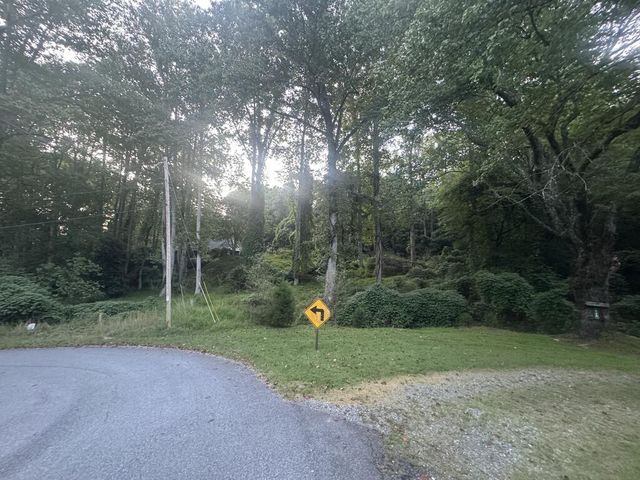 LT 53 Circle Drive, Morganton, GA 30560