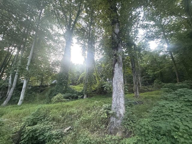 LT 53 Circle Drive, Morganton, GA 30560