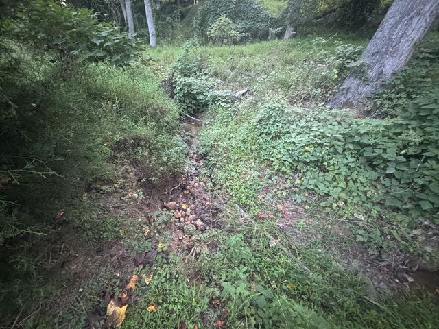 LT 53 Circle Drive, Morganton, GA 30560