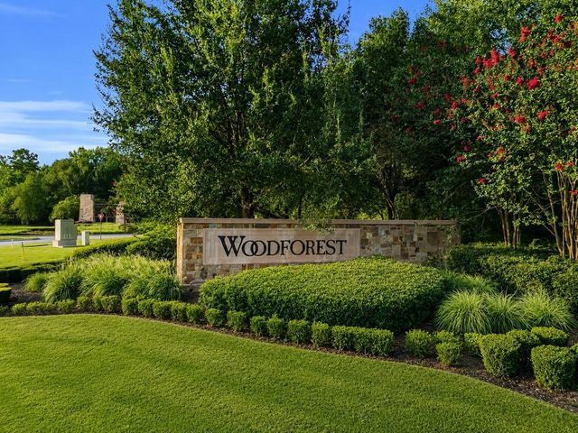 107 Del Monte Pines Drive, Montgomery, TX 77316