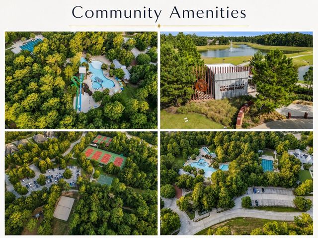 107 Del Monte Pines Drive, Montgomery, TX 77316