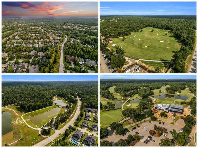 107 Del Monte Pines Drive, Montgomery, TX 77316