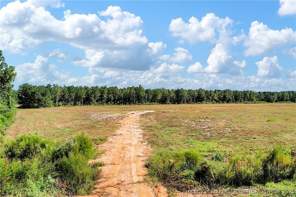 0 Laurel Lake (Lot 4) Road, Salemburg, NC 28385 — photo 12
