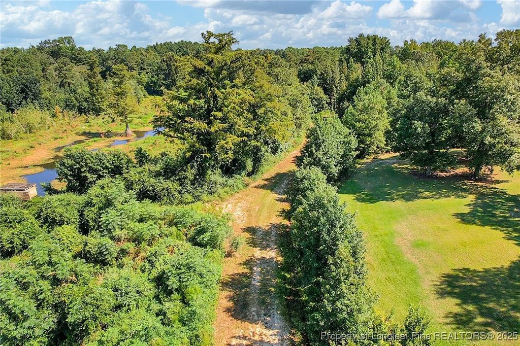 0 Laurel Lake (Lot 4) Road, Salemburg, NC 28385 — photo 3