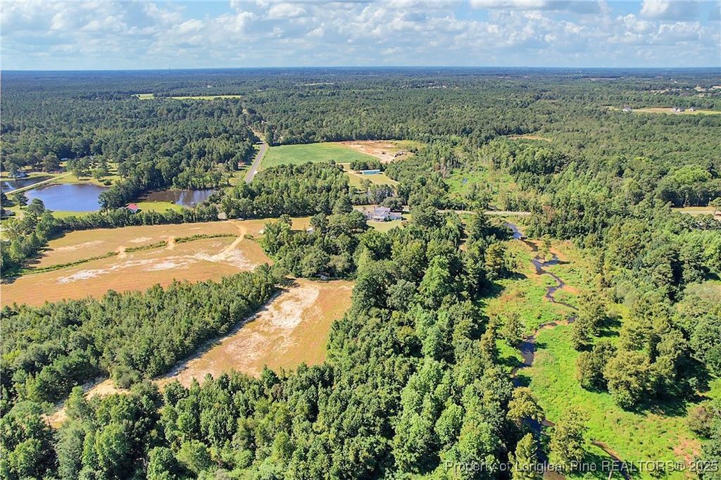 0 Laurel Lake (Lot 4) Road, Salemburg, NC 28385 — photo 7