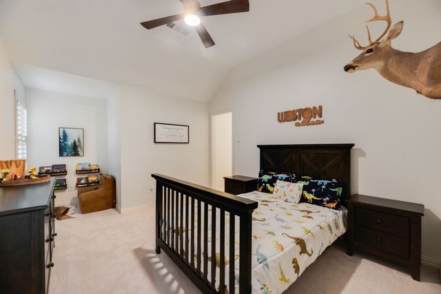 8700 Scarlet Trail, Lantana, TX 76226