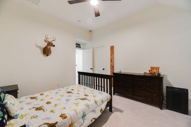 8700 Scarlet Trail, Lantana, TX 76226