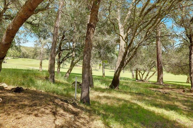 11631 Redwing Ct, Penn Valley, CA 95946