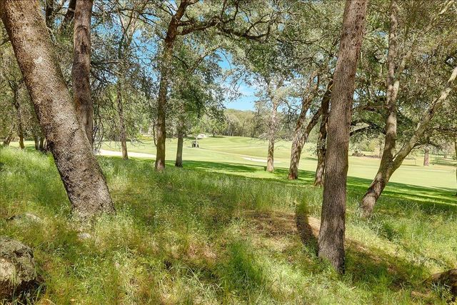 11631 Redwing Ct, Penn Valley, CA 95946