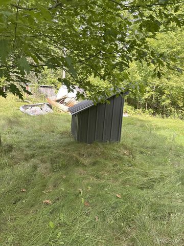 E 4104 Storm Road, Chatham, MI 49816