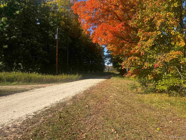 E 4104 Storm Road, Chatham, MI 49816