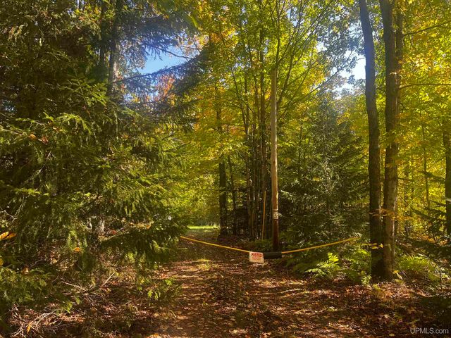 E 4104 Storm Road, Chatham, MI 49816