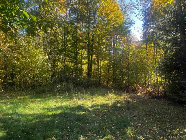 E 4104 Storm Road, Chatham, MI 49816