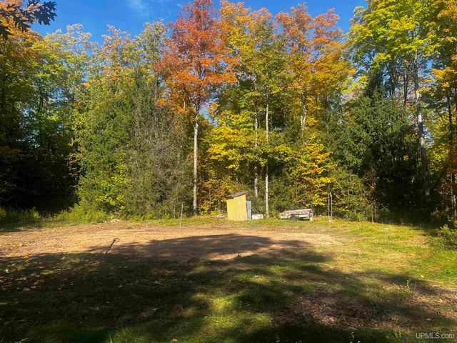 E 4104 Storm Road, Chatham, MI 49816