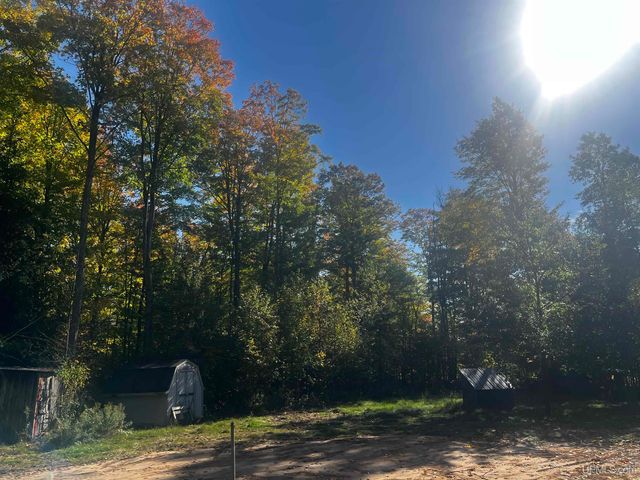 E 4104 Storm Road, Chatham, MI 49816