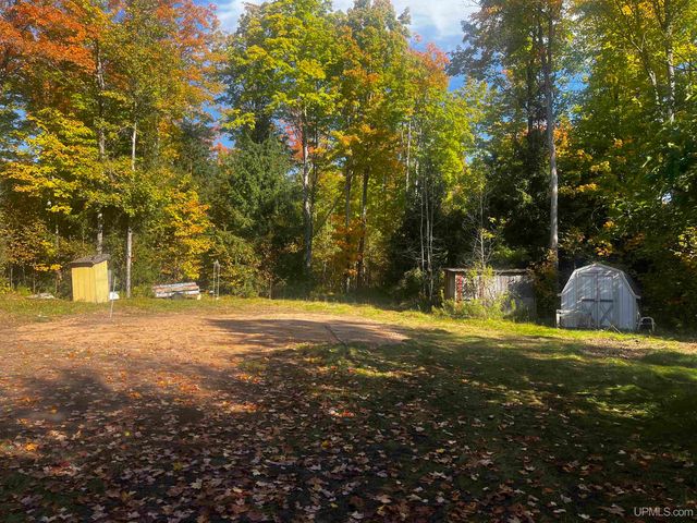 E 4104 Storm Road, Chatham, MI 49816