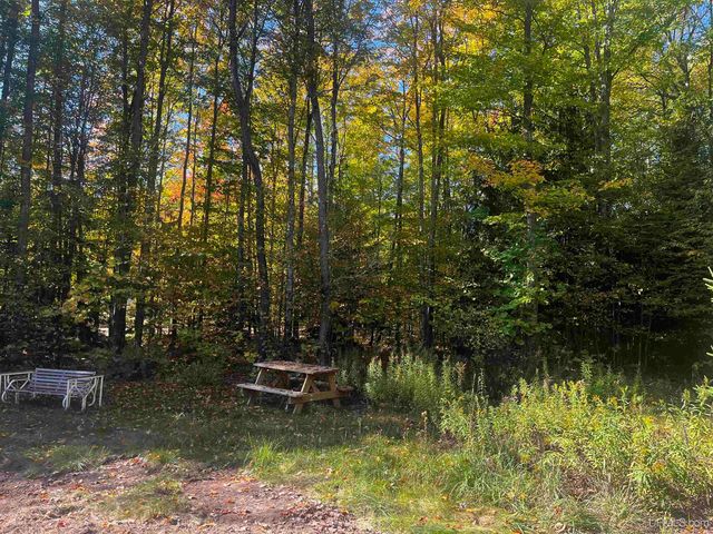 E 4104 Storm Road, Chatham, MI 49816