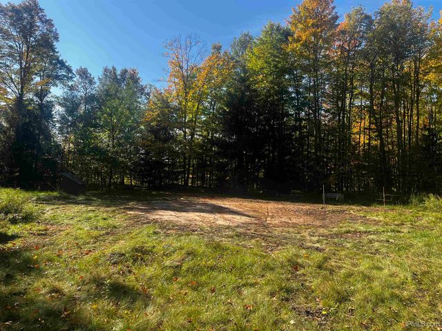 E 4104 Storm Road, Chatham, MI 49816