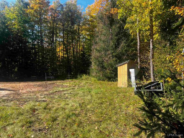 E 4104 Storm Road, Chatham, MI 49816