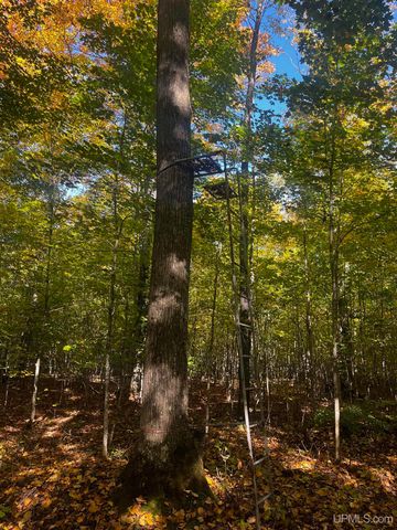 E 4104 Storm Road, Chatham, MI 49816