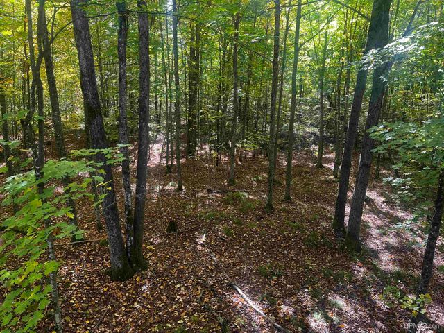 E 4104 Storm Road, Chatham, MI 49816