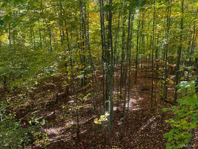 E 4104 Storm Road, Chatham, MI 49816