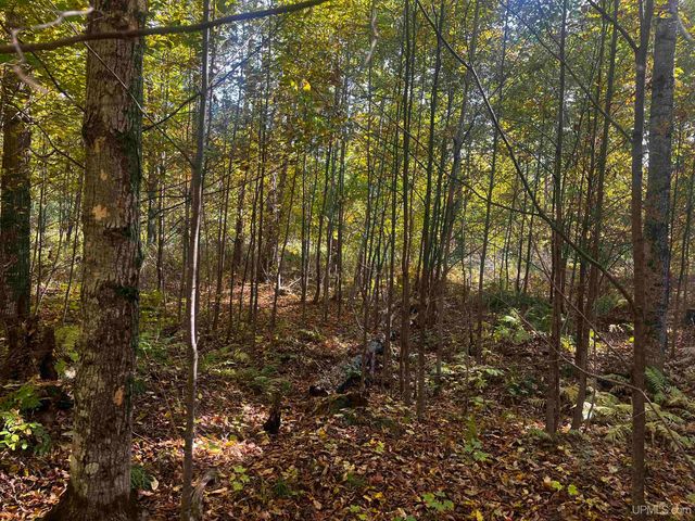 E 4104 Storm Road, Chatham, MI 49816